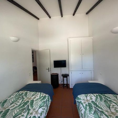 Casa Das Oliveiras Αβίς Εξωτερικό φωτογραφία