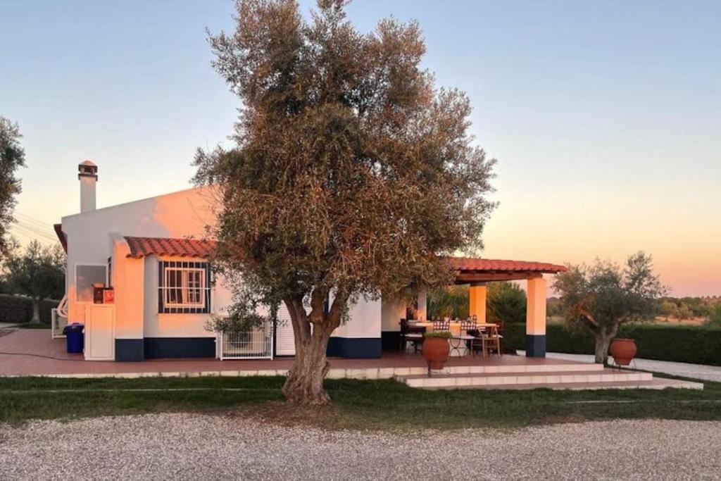 Casa Das Oliveiras Αβίς Εξωτερικό φωτογραφία