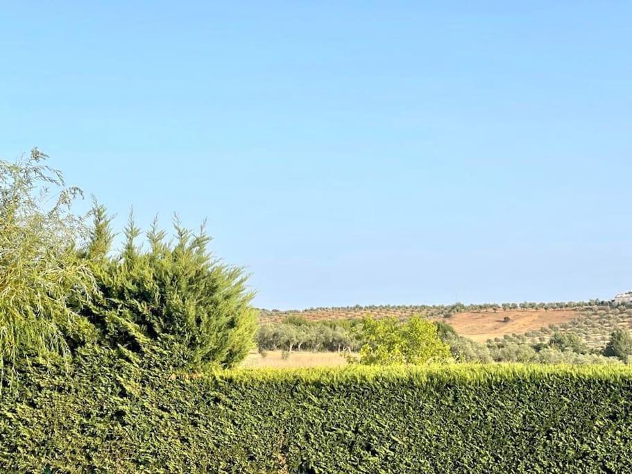 Casa Das Oliveiras Αβίς Εξωτερικό φωτογραφία