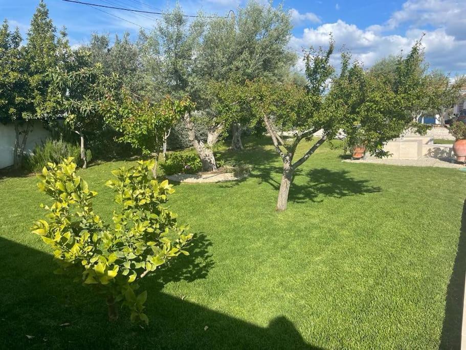 Casa Das Oliveiras Αβίς Εξωτερικό φωτογραφία