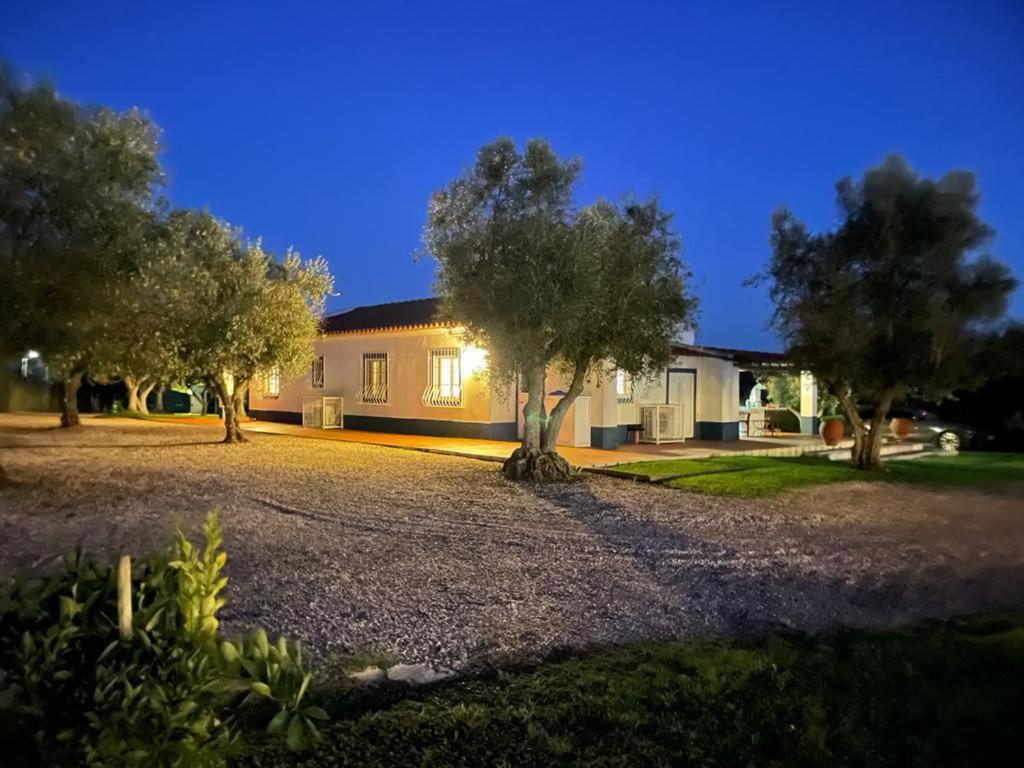 Casa Das Oliveiras Αβίς Εξωτερικό φωτογραφία