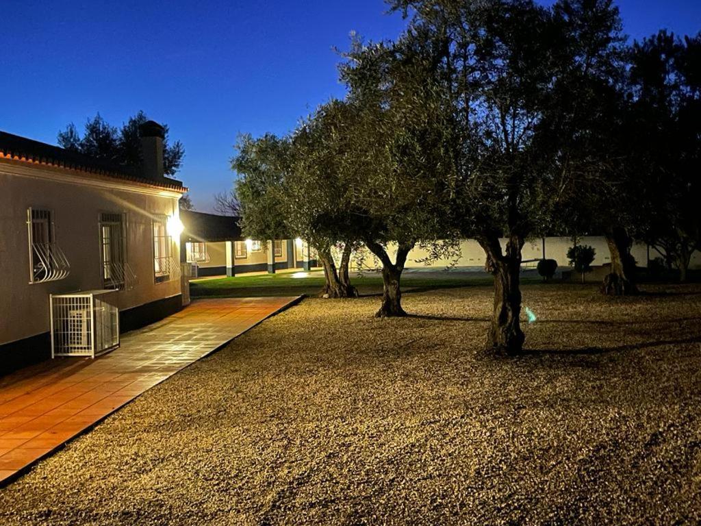 Casa Das Oliveiras Αβίς Εξωτερικό φωτογραφία