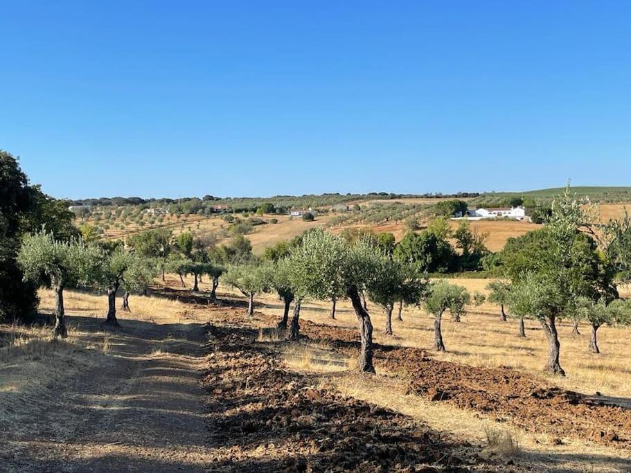 Casa Das Oliveiras Αβίς Εξωτερικό φωτογραφία