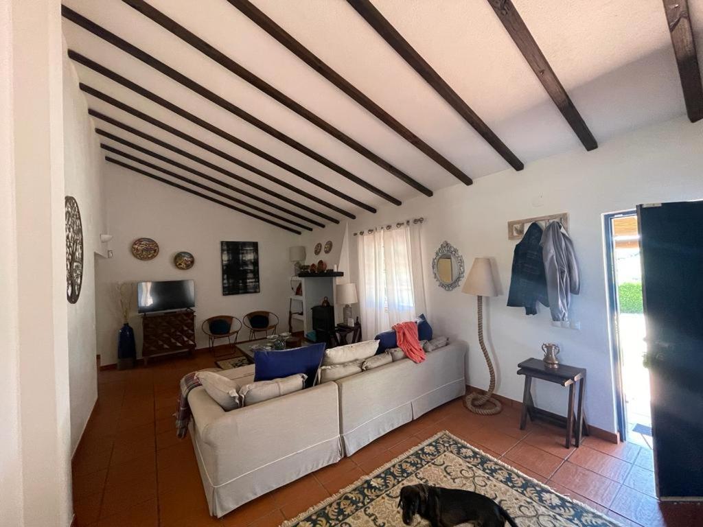 Casa Das Oliveiras Αβίς Εξωτερικό φωτογραφία